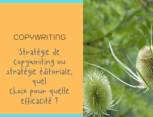 Stratégie de Copywriting, déléguer pour mieux réussir