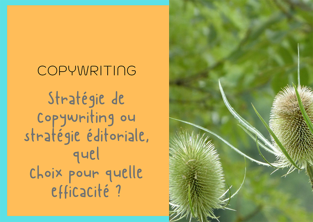 Stratégie de copywriting