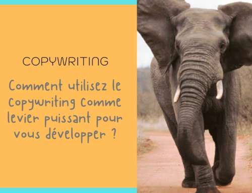 Le copywriting un levier puissant pour se développer