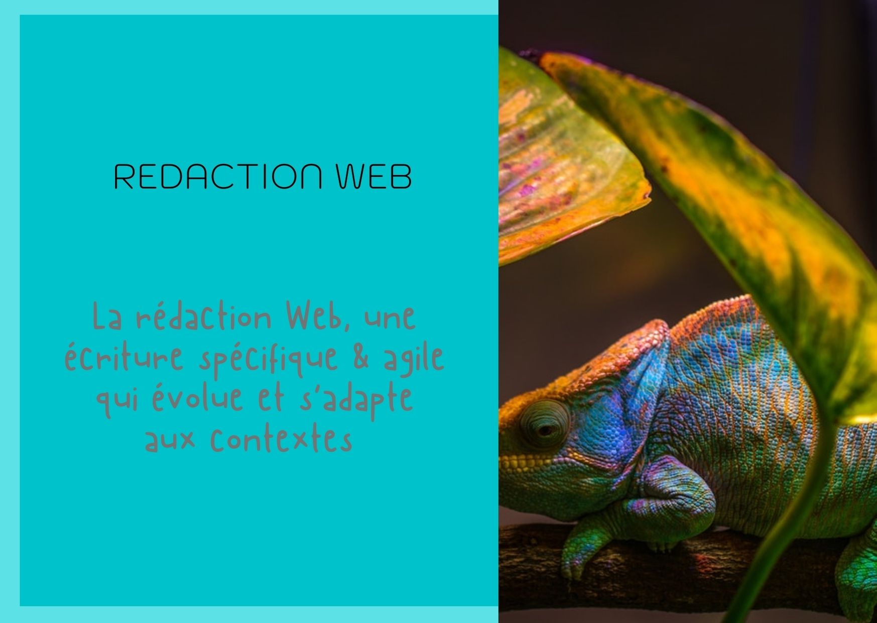 Rédaction_web_écriture_caméléon_s'adapte_contextes