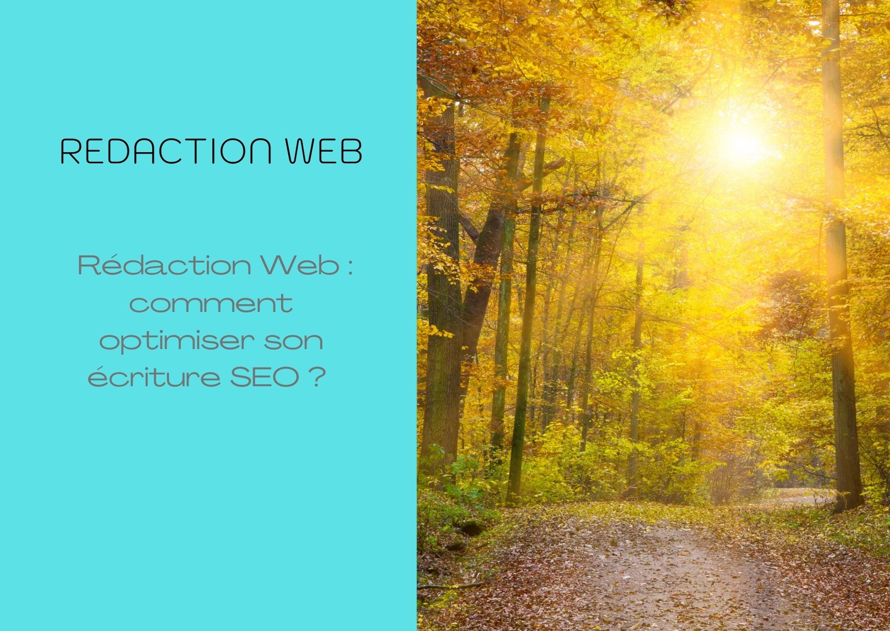 redaction-web-optimiser-le-seo