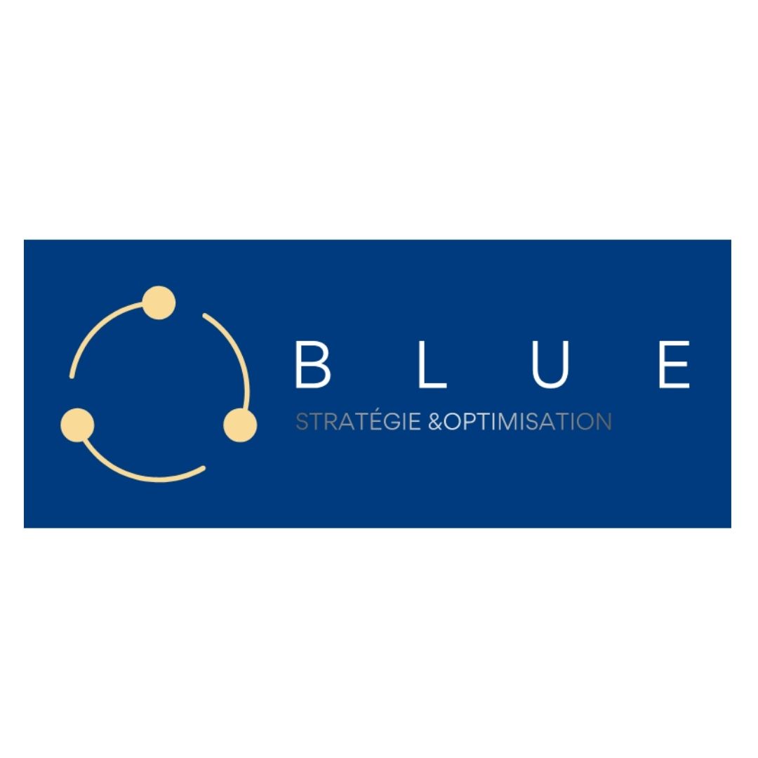 blue-optimisation-logo