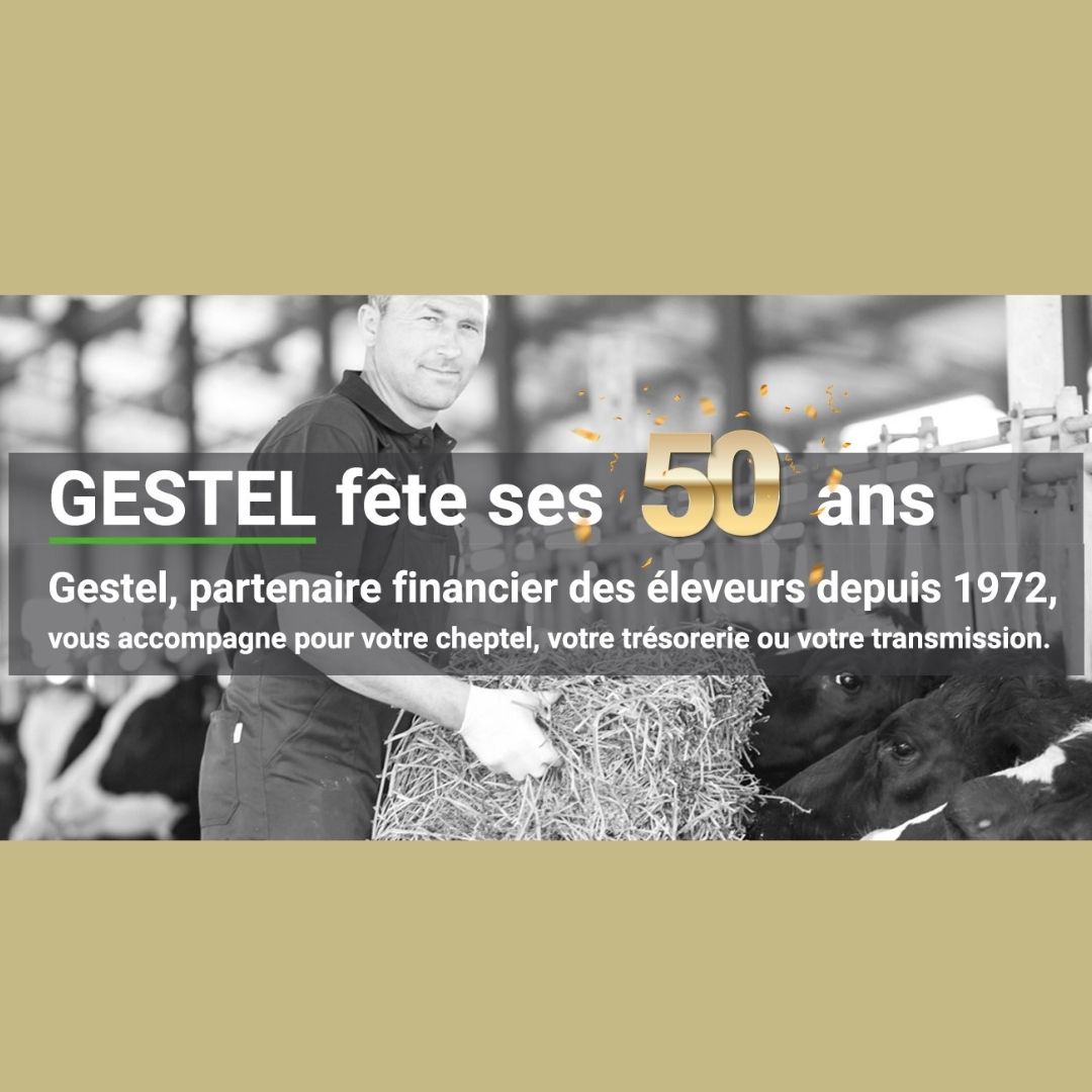 gestel-partenaire-eleveurs-français