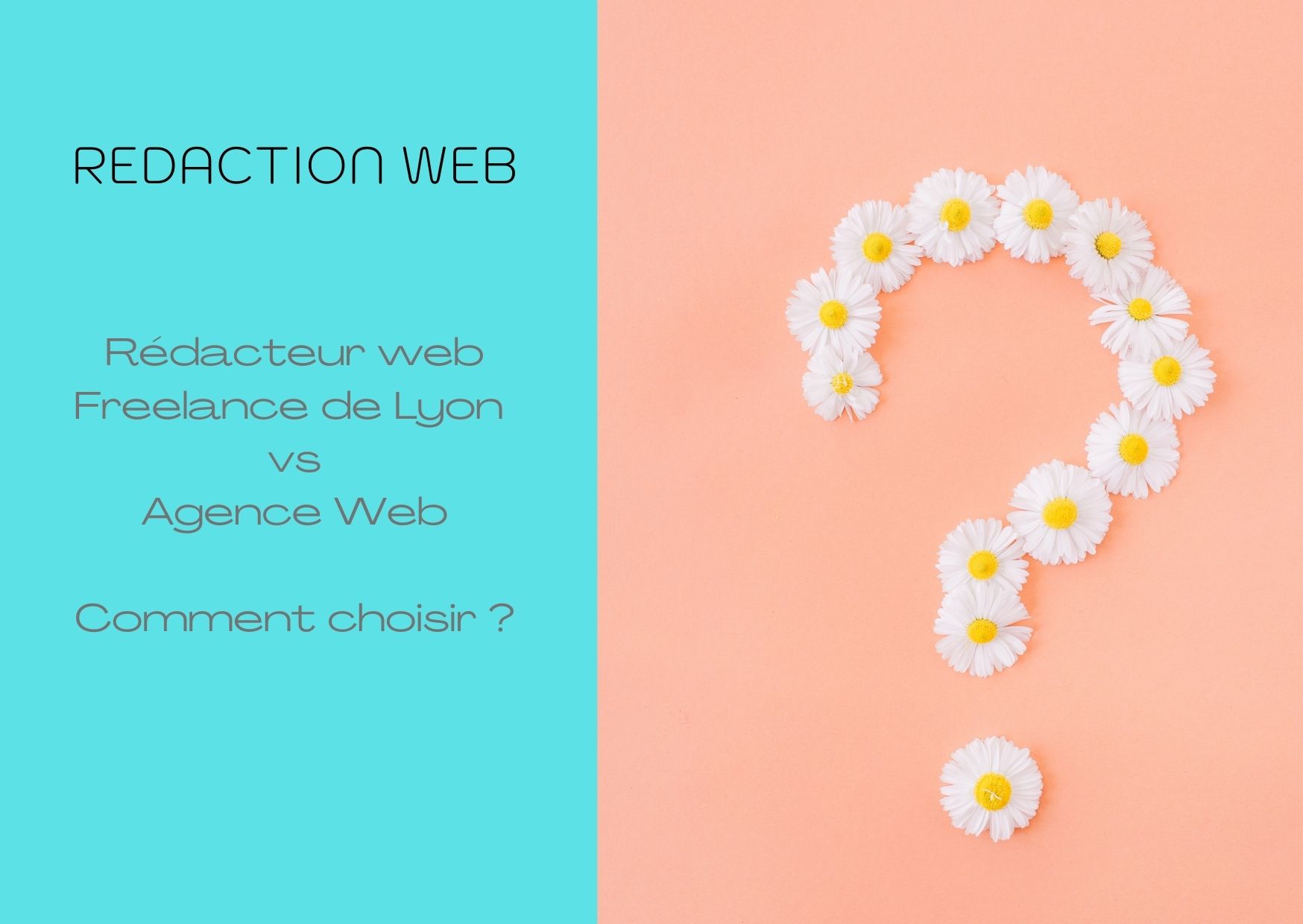 redacteur-web-lyon-vs-agence-web