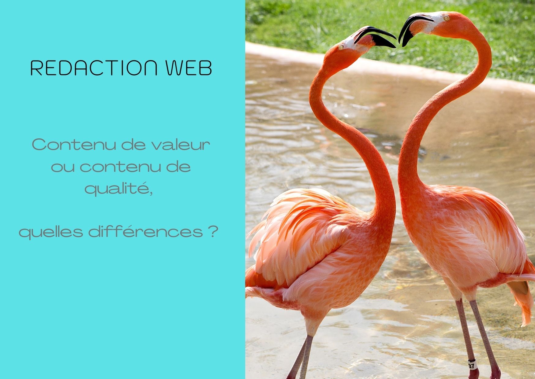 redaction-web-contenus-valeur-contenu-qualite