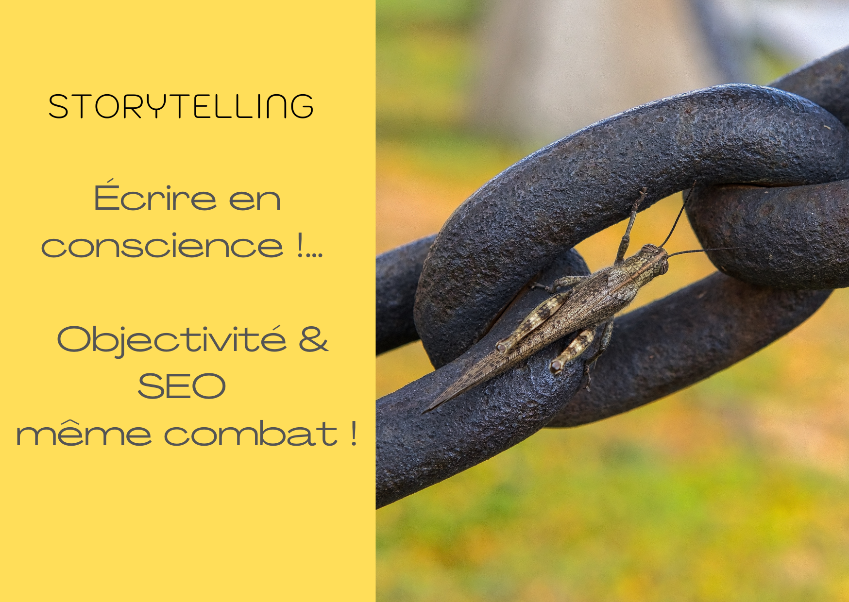 lien-authenticité-seo