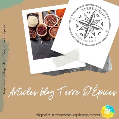 articles-blog-terre-depice