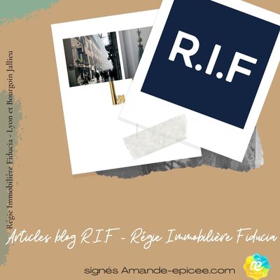 RIF-articles-blog