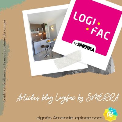 articles-blog-logifac