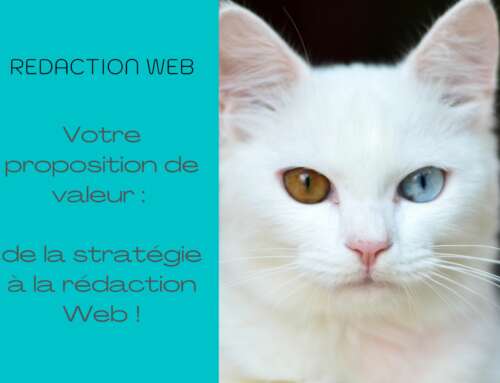 Votre proposition de valeur : de la stratégie à la rédaction Web !