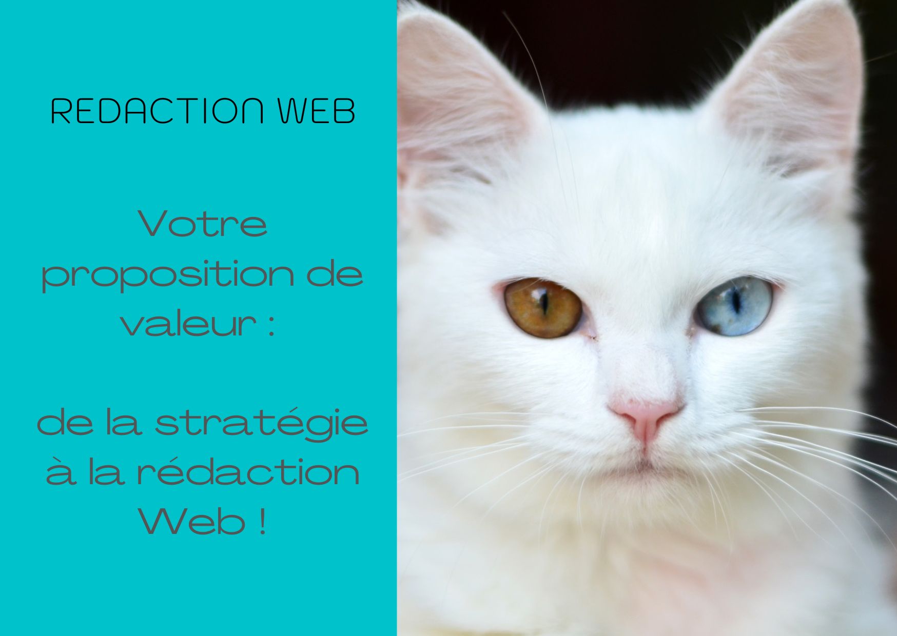 proposition-de-valeur-redaction-web-amande-epicee