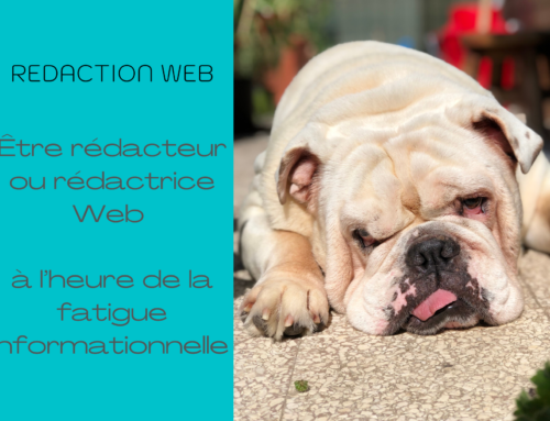 Rédactrice Web à Lyon, davantage qu’une créatrice de contenus SEO !