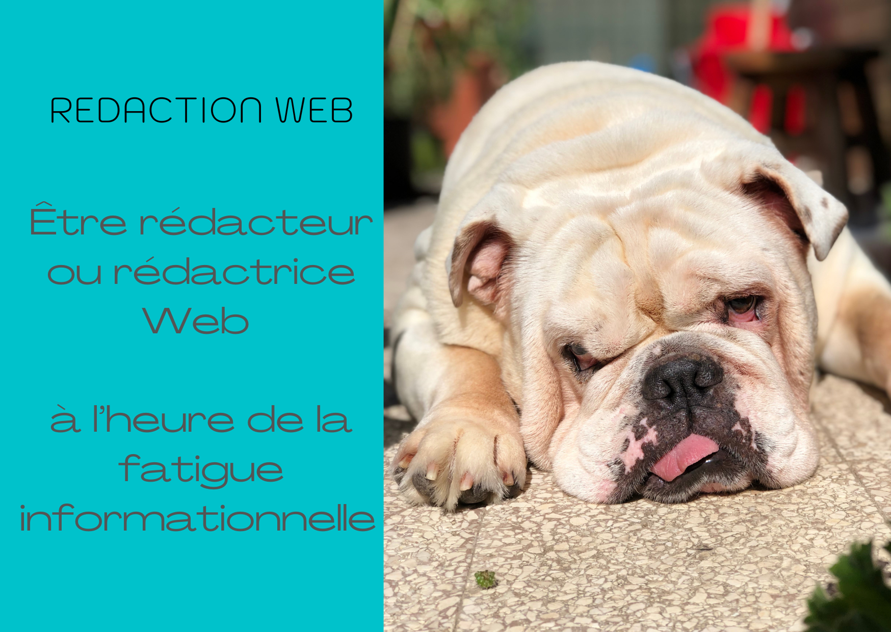 redacteur-web-a-lheure-de-la-fatigue-informationnelle