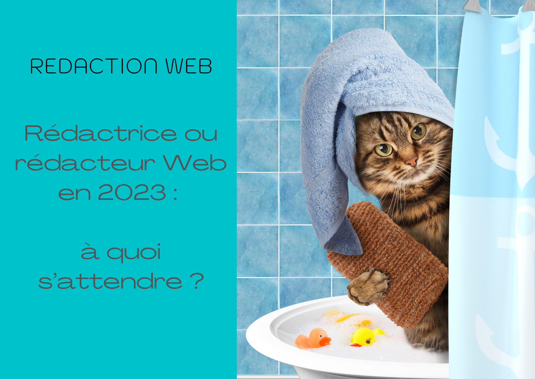 redaction-web-2023-nouveautés