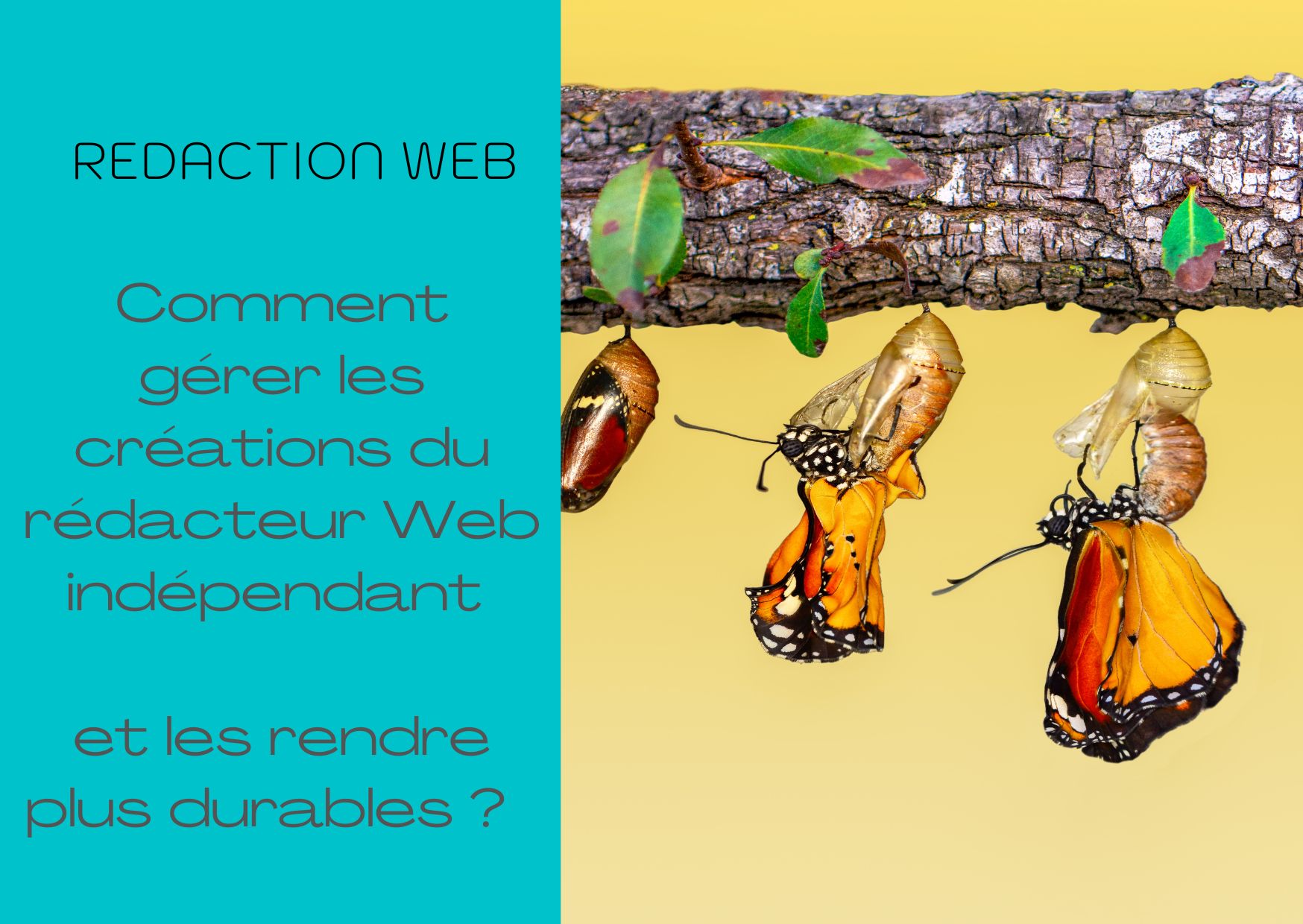 redaction-seo-et-pérennité-des-contenus