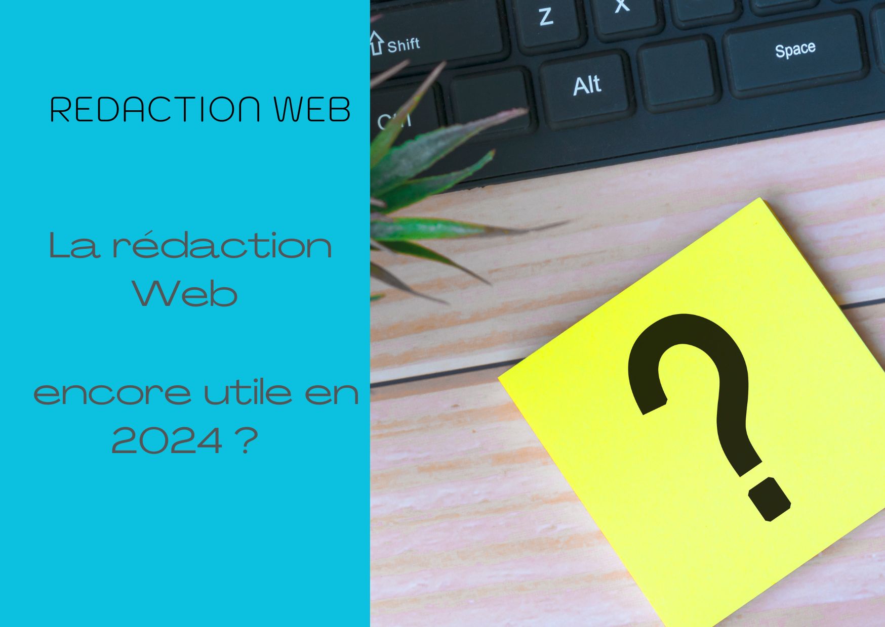 redaction-web-en-2024-utile ?