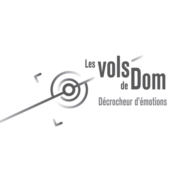 logo-vols-de-dom