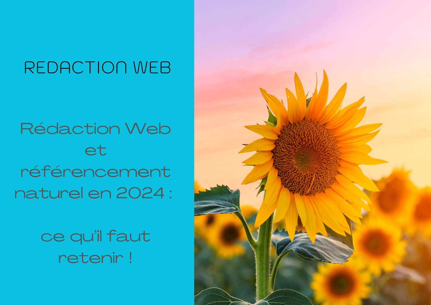 redaction-web-2024-ce-quil-faut-retenir